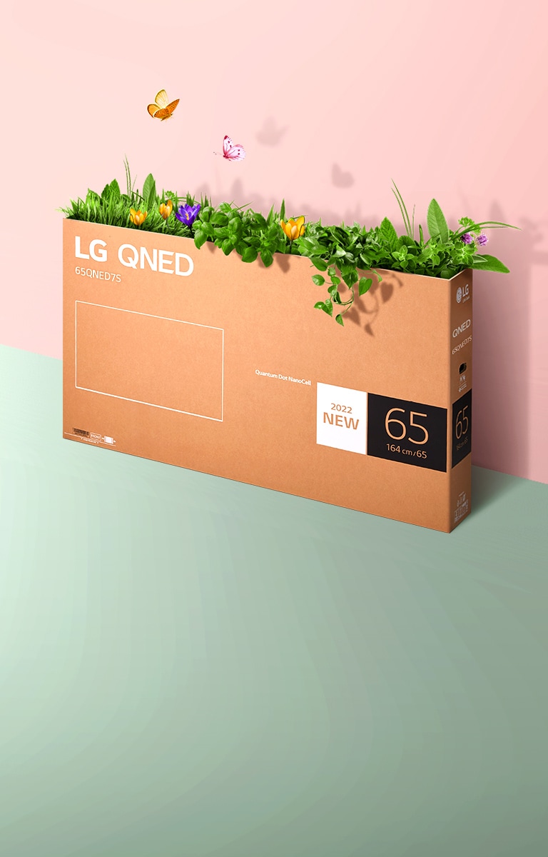 Hộp bao bì QNED được đặt trên nền màu hồng, màu xanh lá cây và có cỏ mọc và bướm bay ra từ bên trong.