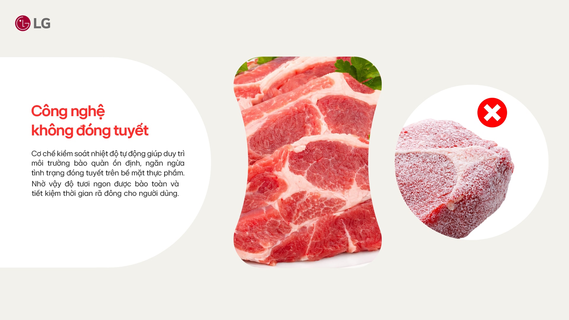 Brochure tủ lạnh LG F51EG trang 6