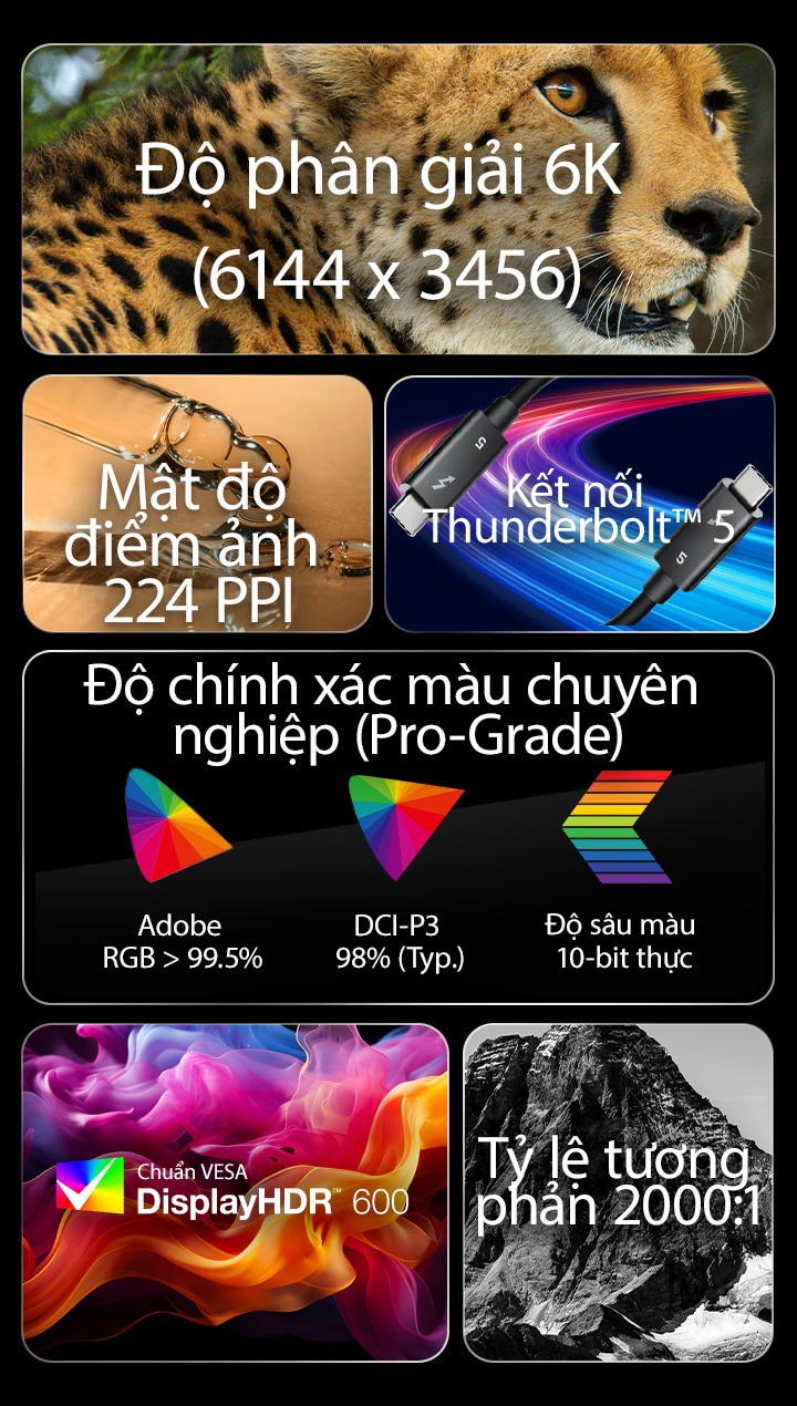 Khám phá 6 tính năng đột phá của UltraFine qua loạt hình ảnh trực quan.