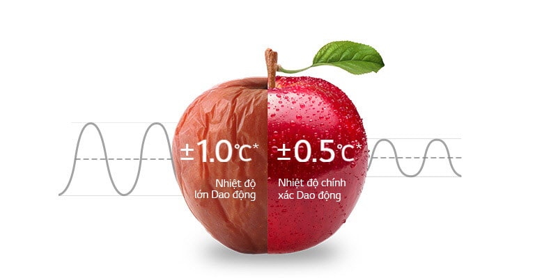 Làm mát đồng đều 24 giờ