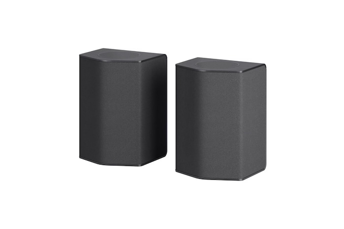 Angled view of Rear Speakers