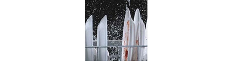 Four Washing Arms