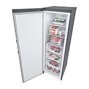 LG 324L One Door Freezer with Frost Free in Stainless Finish, GC-B414ELFM