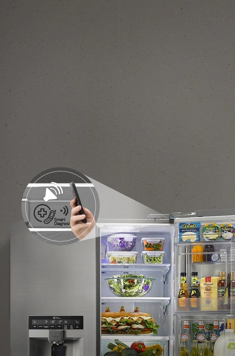LG GC-J22FTLPL Smart Diagnosis™
