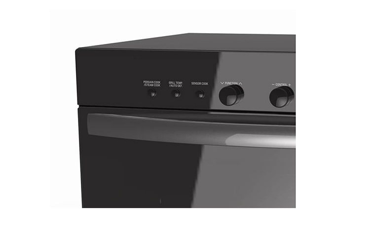 LG 38L SolarDOM with Charcoal Lighting Heater™, MA3884NAR