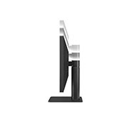 LG 23.7" UltraFine™ 4K Monitor, 24MD4KL-B