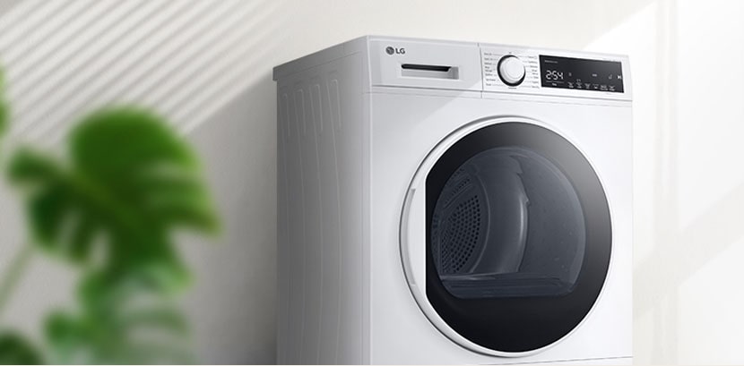 There is a dryer with a good view of the door in the interior background.