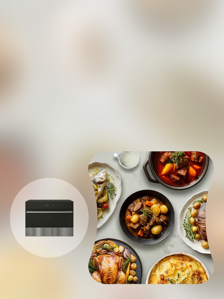 Image of a dishes like meat, goulash, whole chicken ㅡ beside LG SolarDOM