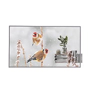 LG Transparent OLED, Front view with infill image, 55EW5P-M