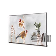 LG Transparent OLED, -45 degree side view with infill image, 55EW5P-M