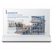 LG Transparent OLED Signage, 55EW5PG-S