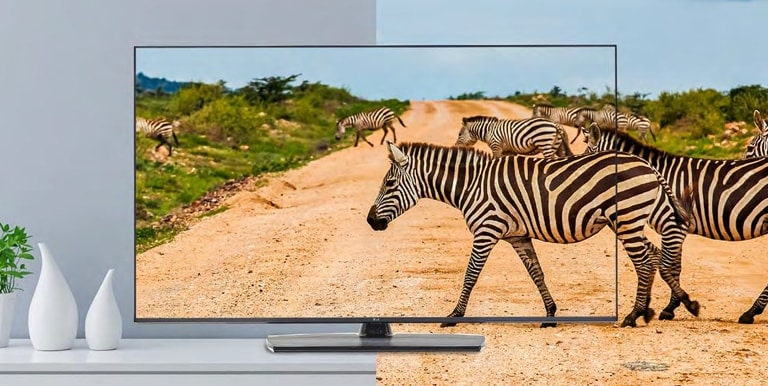 The TV with slim bezel shows the screen with realistic images to enhance viewer experience.