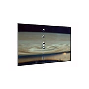 LG Wall paper OLED signage, 55EJ5C-B