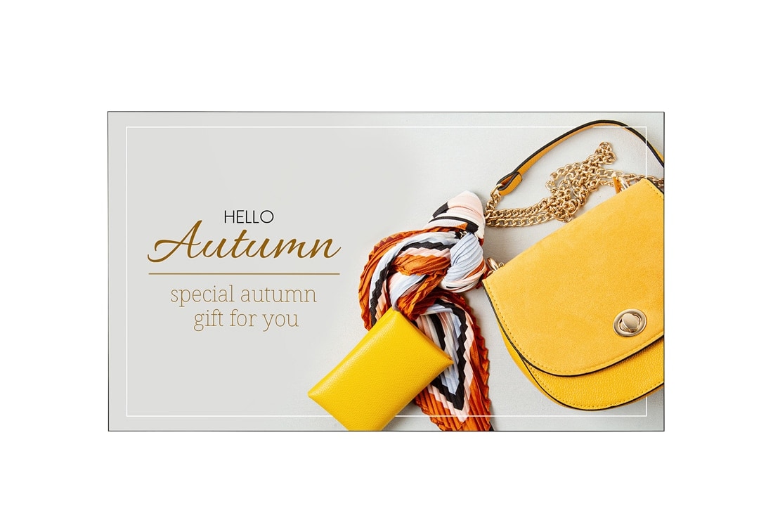 LG 55" Wallpaper OLED Signage, 55EJ5K-B