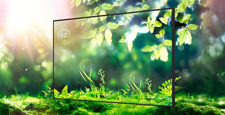 LG strives for a sustainable future by obtaining various certifications such as FCC EMC Class B.