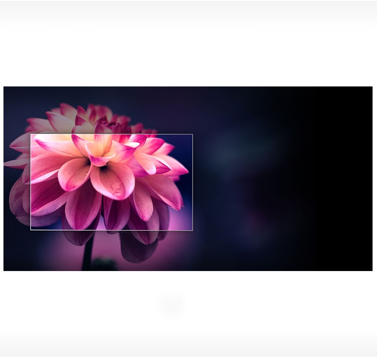 Explosive Colours<br>1