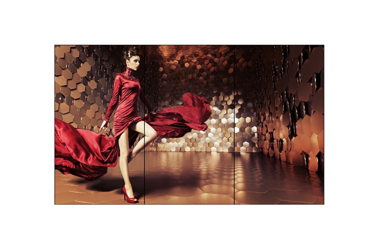 LG Video-wall OLED Signage, 65EV5C