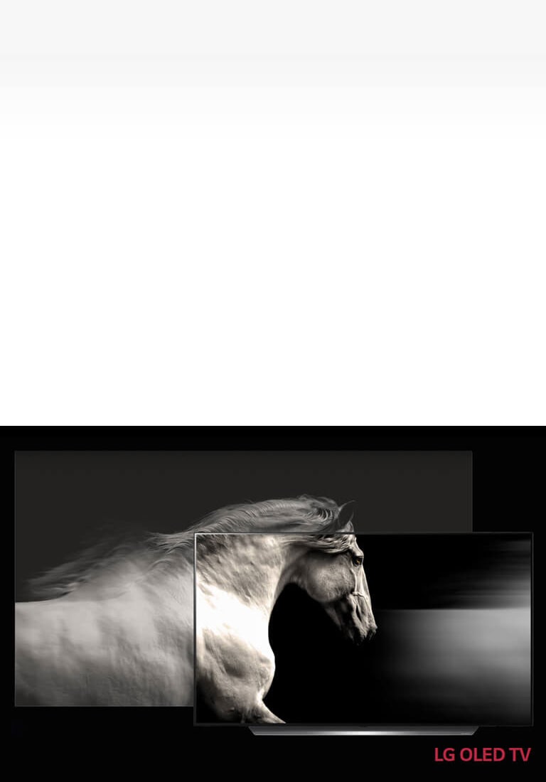 Perfect Black. Intense Colour1