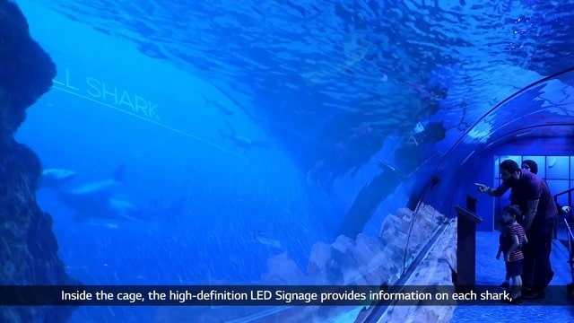 [Retail] Dubai Mall_UAE