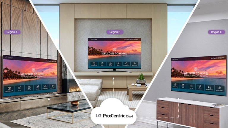 LG Pro:Centric Cloud1