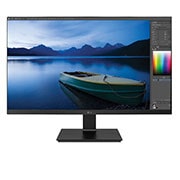 LG 24'' TAA IPS FHD Monitor with USB Type-C™, Flicker Safe & Ergonomic Stand with Two-way Pivot, 24BL650C-B