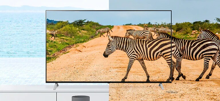 Le cadre de ce téléviseur est tellement fin qu’il réduit la différence entre l’écran et la réalité. Les zèbres à l’écran en sortiront presque du cadre.