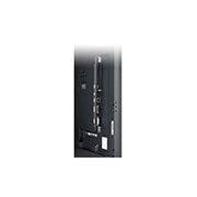 LG Serie SE3KE, 55SE3KE-B