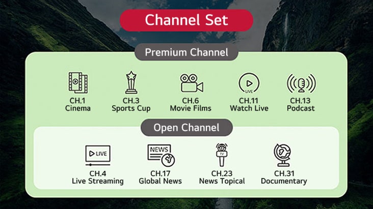 Los canales de TV proporcionados por la solución pueden categorizarse en grupos según sus tipos. Esto incluye configurar tanto canales de TV estándar como canales adicionales exclusivos para clientes premium.