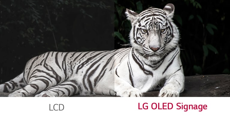 LG OLED Signage weist einen besseren Kontrast zwischen Schwarz und Weiß als gewöhnliche LCDs auf.