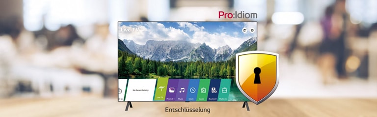 Using Pro:Idiom kann gesetzwidrigem Kopieren von Inhalten vorbeugen.