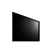 Gros plan d’un écran de LG OLED TV montrant le fonctionnement de la recherche par IA, AI Search. Une petite fenêtre de chat est ouverte, montrant comment l’utilisateur a demandé les jeux de sport disponibles. La recherche par IA a répondu par chat et en montrant des vignettes des contenus disponibles. On voit aussi une invite à faire une demande à Microsoft Copilot.