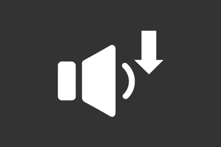 The white speaker with a simple design with a downward-facing arrow within a semicircle, indicating noise reduction.