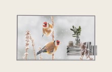 Panneau OLED transparent LG 55EW5TK-A pour des solutions d’affichage créatives