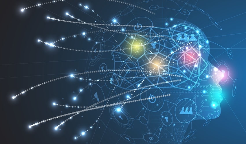 The five senses of human beings: sight, touch, smell and taste