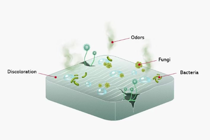 Side-by-side comparison of surfaces: LG antimicrobial coated surface on the left glowing with protection, versus a non-coated surface on the right showing discoloration, odors, fungi, and bacteria.