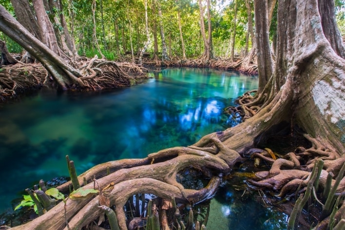 Close-up of ocean surface waves with white foam