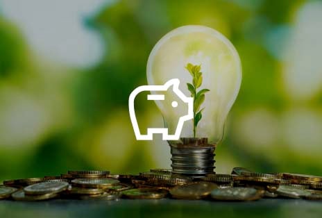 Light bulb with plant sprout growing on coins