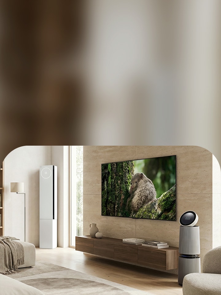 Premium living room with LG OLED TV, tower-type air purifier, and compact air purifier in a warm natural interior