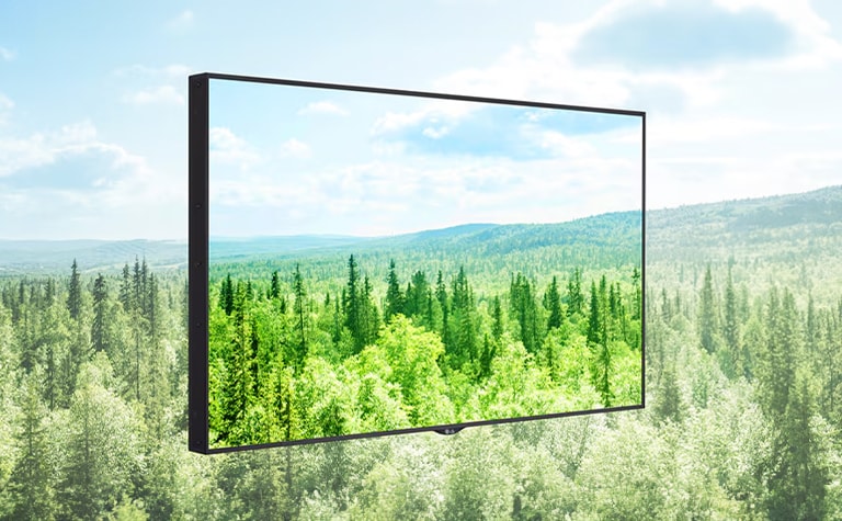 Carbon Footprint Certification