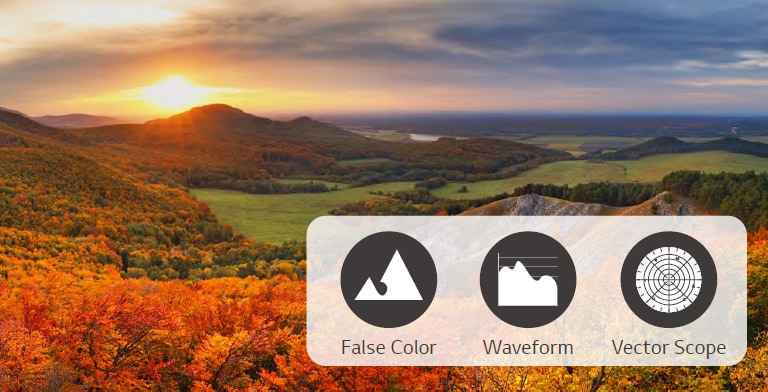 Through analyzing the video signal, the False Color, Waveform, and Vector Scope information is visualized and shown. 