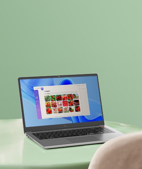 The image shows a gray laptop placed on a light green surface. The screen displays a photo gallery application featuring images of red fruits, suggesting a browsing or photo management activity.