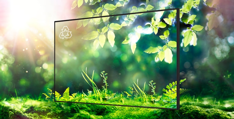 LG strives for a sustainable future by obtaining various certifications such as FCC EMC Class B or EPEAT*. * the United States Only