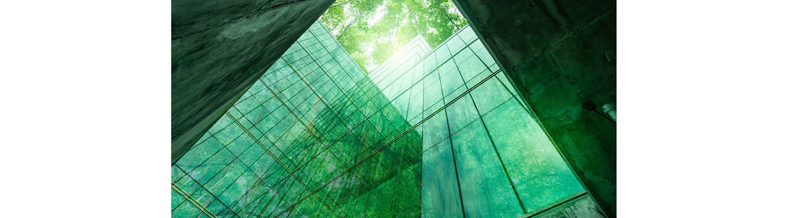 A unique low-angle perspective looking up into an urban or architectural space that ingeniously integrates nature.