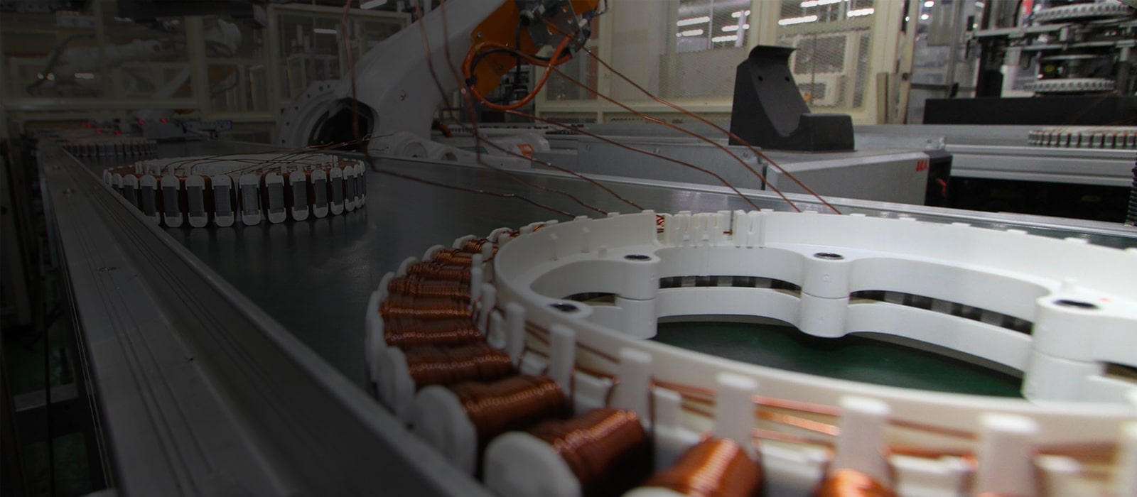 An image of a man with a plain background