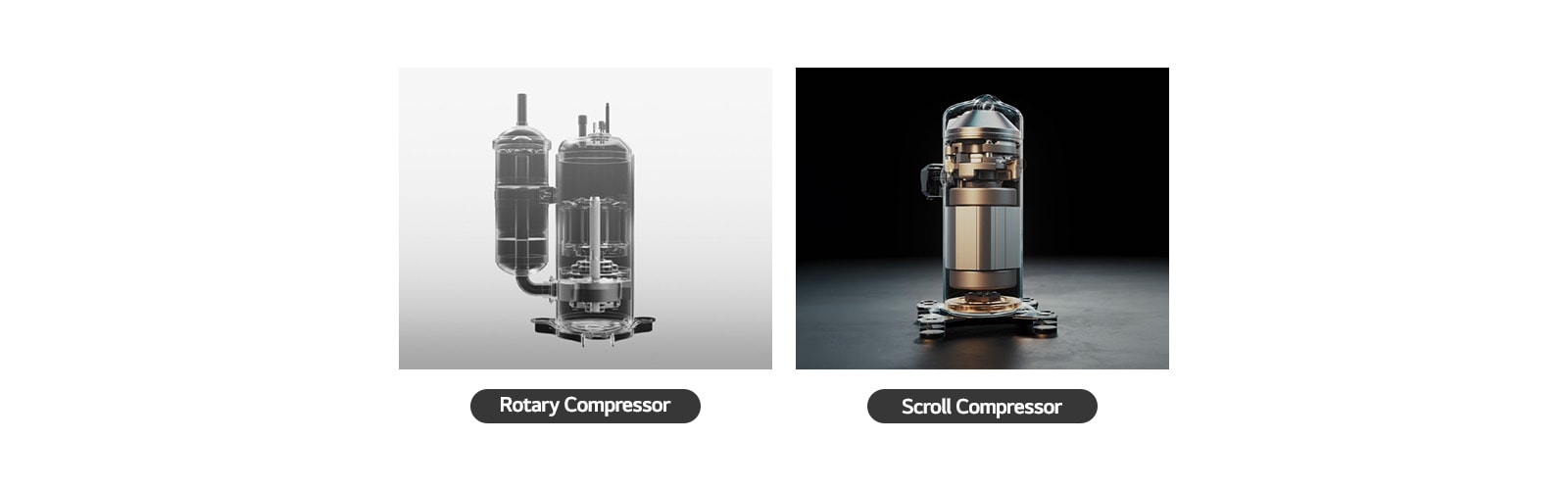 A Rotary Compressor and a Scroll Compressor