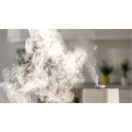 Best Humidifiers for Dry Homes