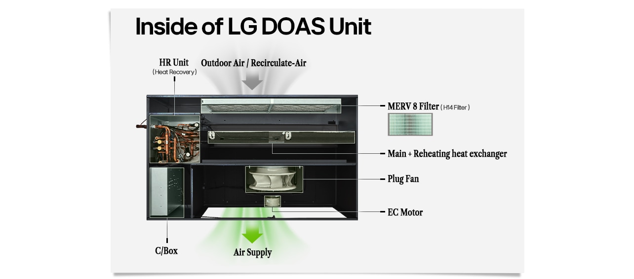 Heat Recovery Ventilation (HRV) system with MERV 8 filter, air supply, plug fan, EC motor, and heat exchanger.