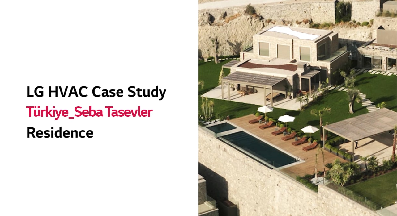 Yard in front of the house