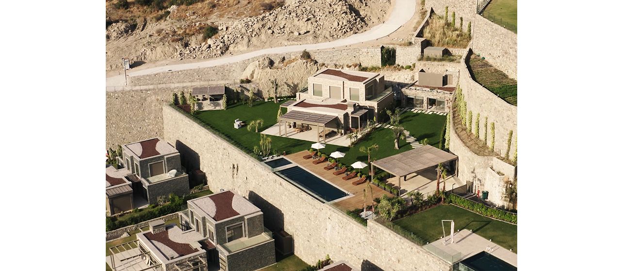 Yard in front of the house