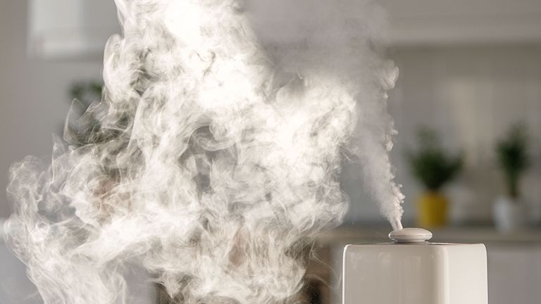 Which Humidifier Can Help You Combat a Dry Home